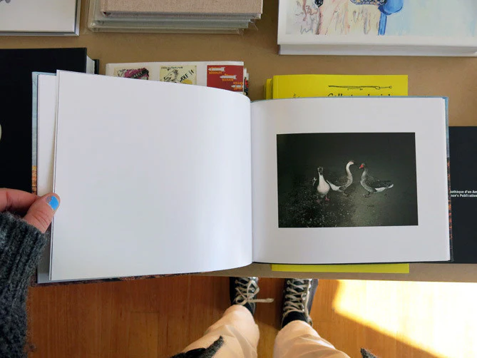 Ed Panar – Animals That Saw Me - Image 4