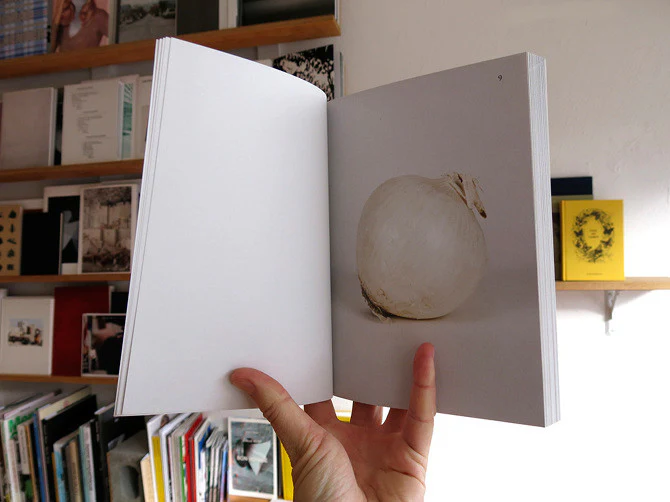Elad Lassry - On Onions - Image 2