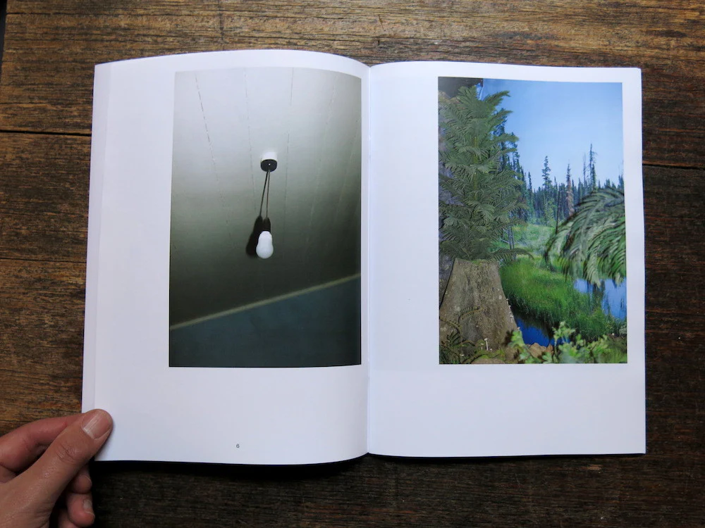 Emma Phillips – A light on the wall - Image 3