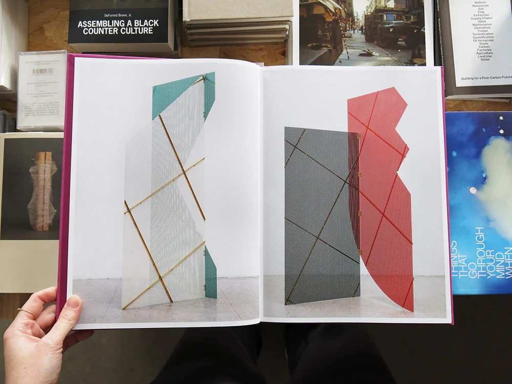 Eva Berendes – Façades - Image 3