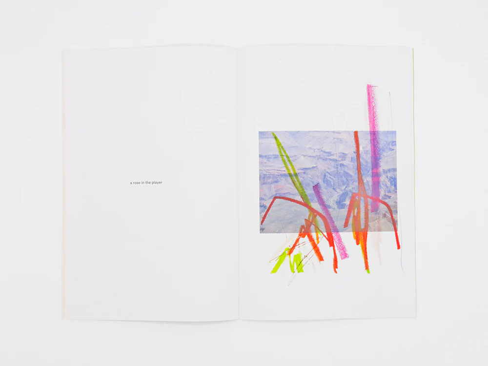 Félicia Atkinson – Ambient Park - Image 4