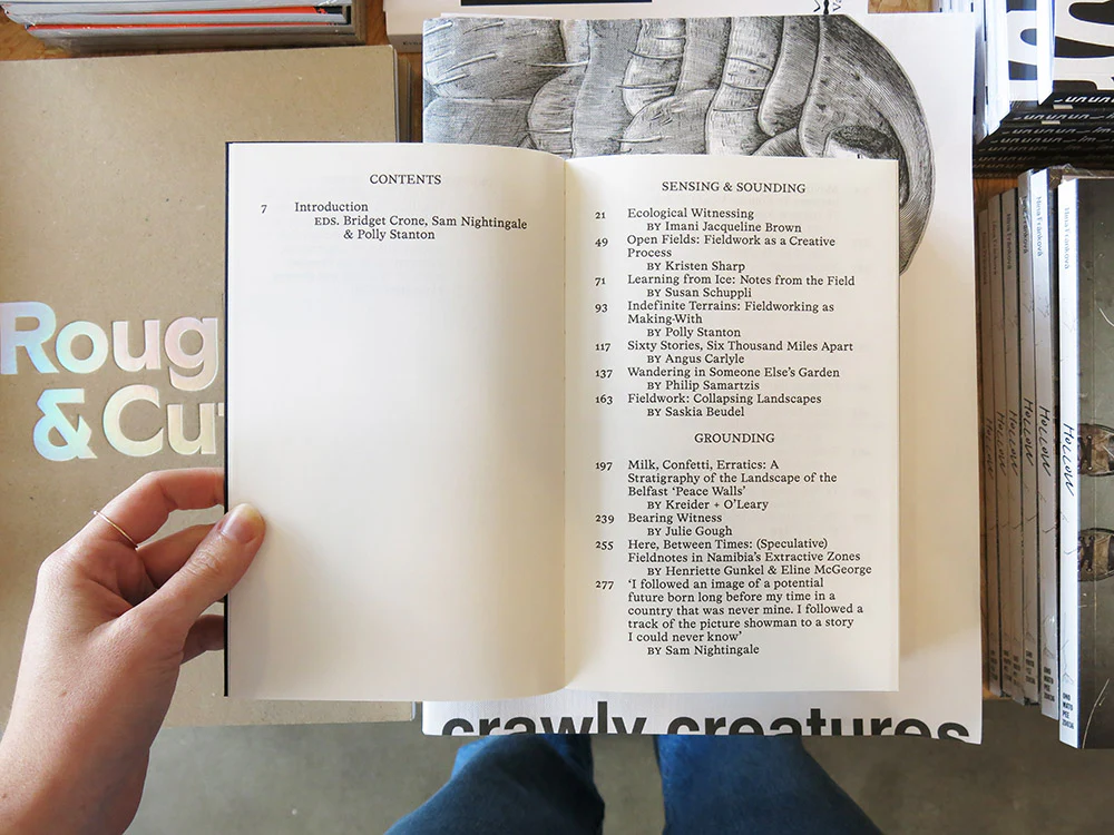 Fieldwork for Future Ecologies: Radical practice for art and art-based research - Image 2
