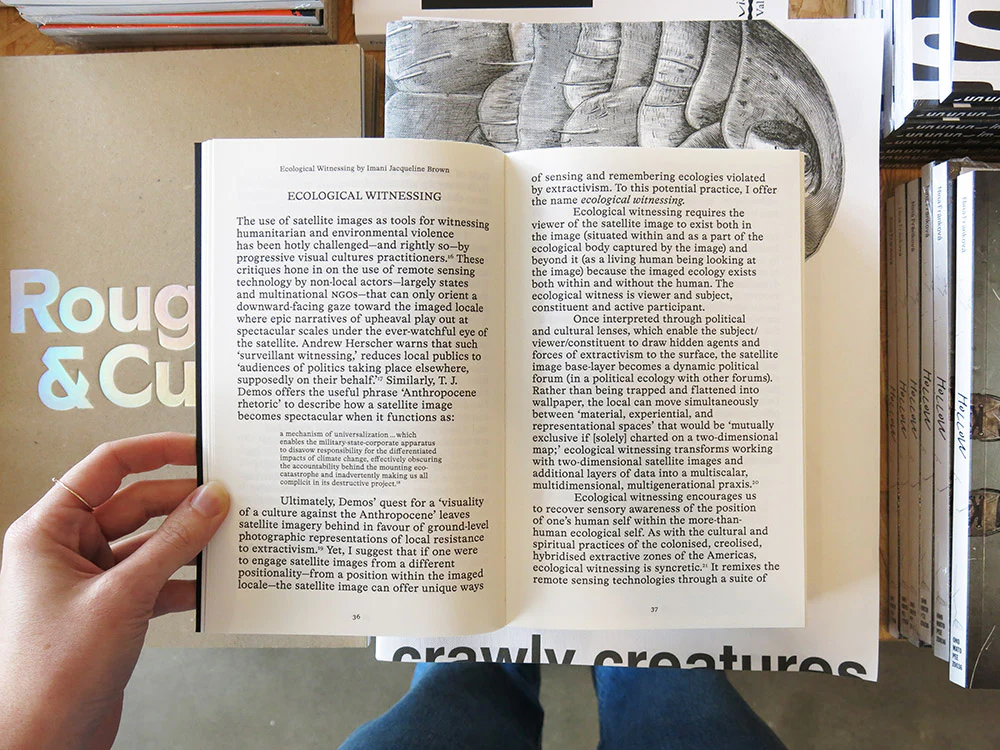 Fieldwork for Future Ecologies: Radical practice for art and art-based research - Image 3