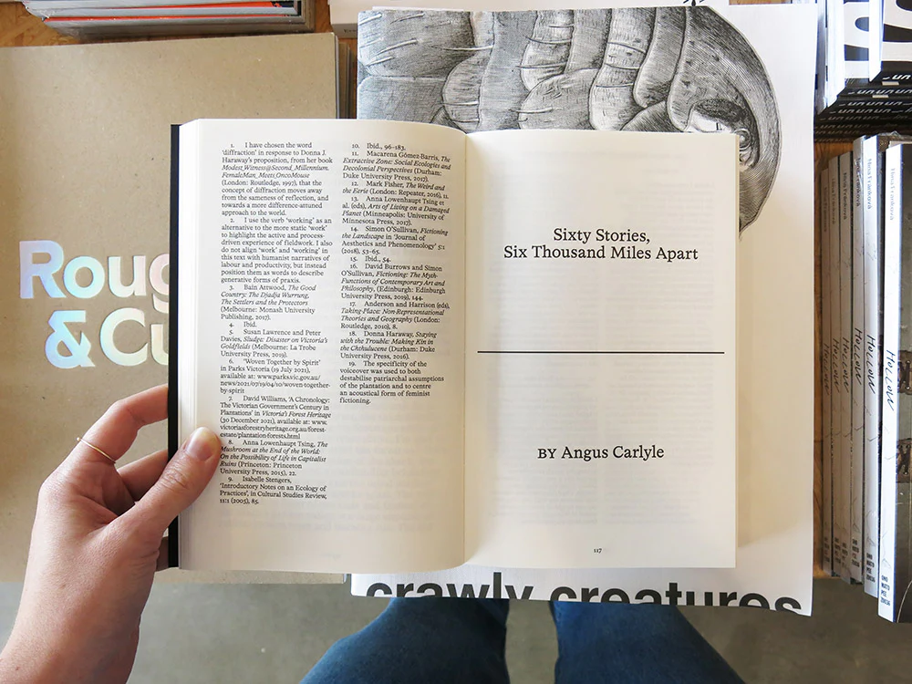 Fieldwork for Future Ecologies: Radical practice for art and art-based research - Image 6