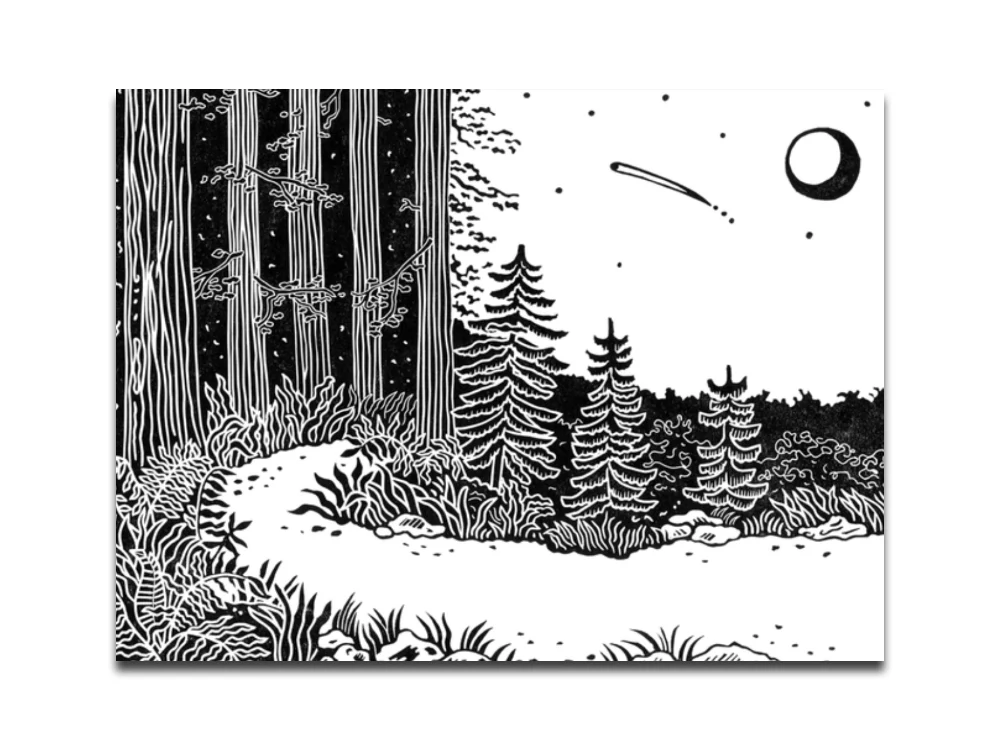 PRE-ORDER: Anna McCracken – Do Wildness: Myth, mystery and mischief - Image 3