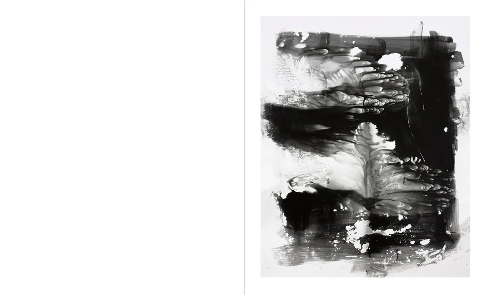 Fundraising Edition: Rohan Hutchinson – An error has occurred (Perimeter Editions 032) - Image 9