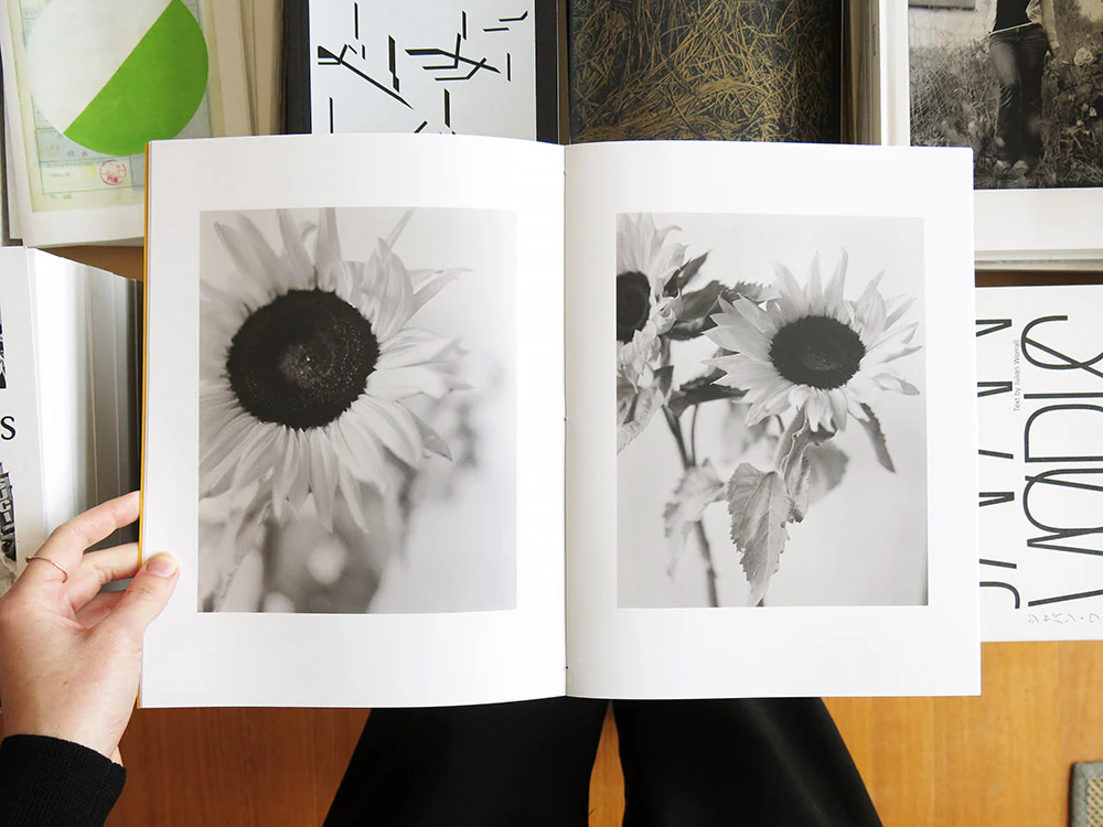 Gen Kay – Sunflowers - Image 3