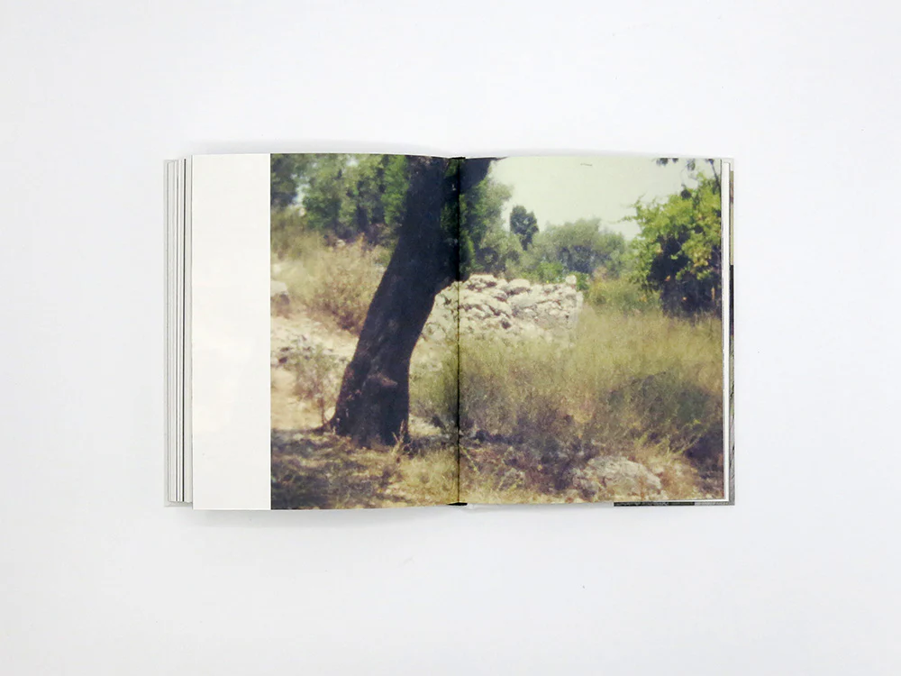 Georgia Metaxas – Mnemosyne Grove - Image 12