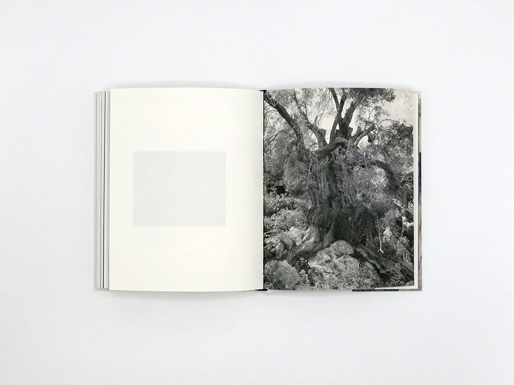 Georgia Metaxas – Mnemosyne Grove - Image 13