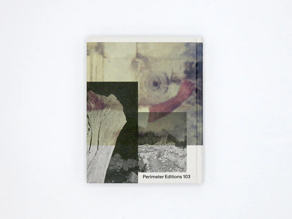 Georgia Metaxas – Mnemosyne Grove - Image 14