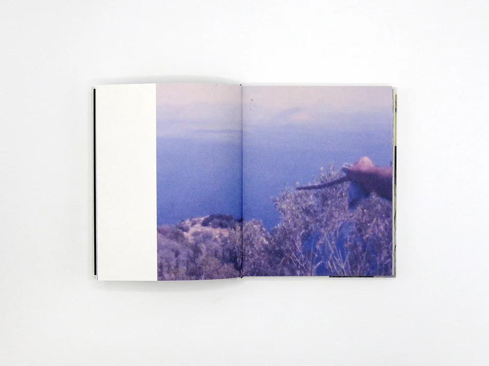 Georgia Metaxas – Mnemosyne Grove - Image 4