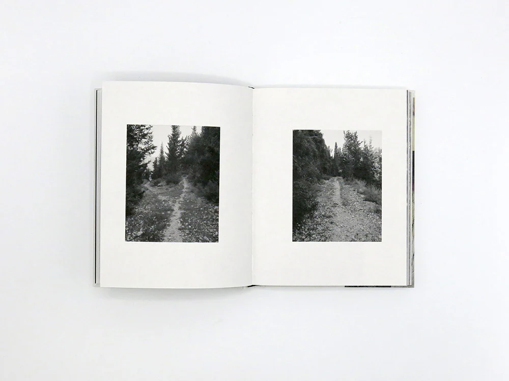 Georgia Metaxas – Mnemosyne Grove - Image 5