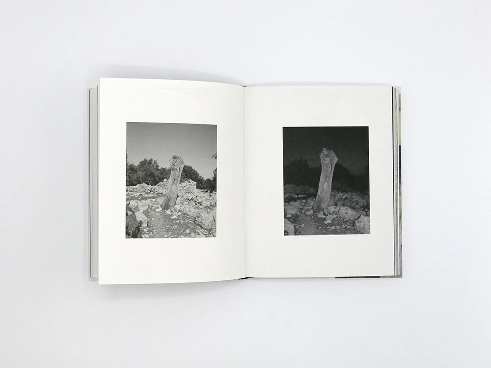 Georgia Metaxas – Mnemosyne Grove - Image 6