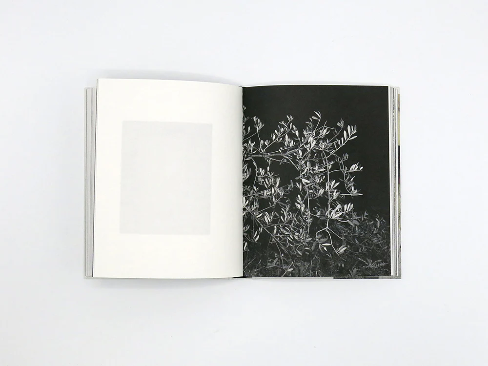 Georgia Metaxas – Mnemosyne Grove - Image 8