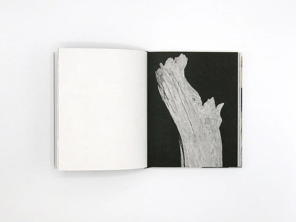 Georgia Metaxas – Mnemosyne Grove - Image 9