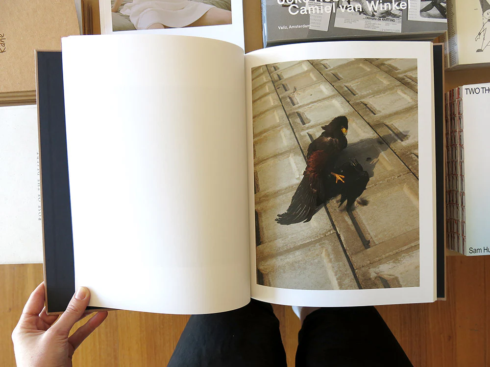 Guillaume Simoneau – Murder - Image 5