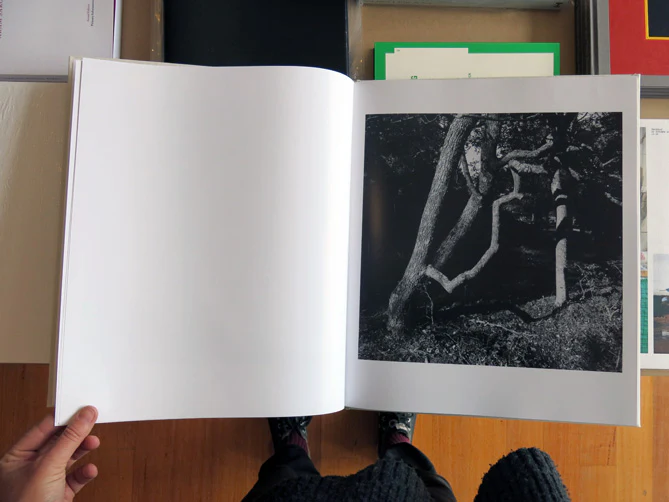 Gunmar Smoliansky - Träd - Image 3