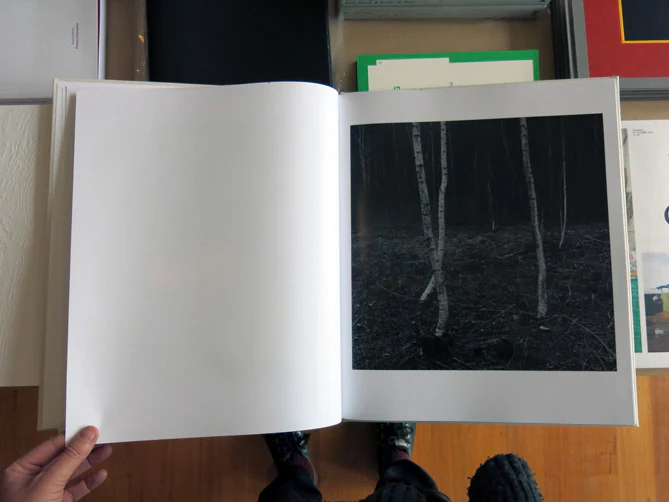 Gunmar Smoliansky - Träd - Image 5