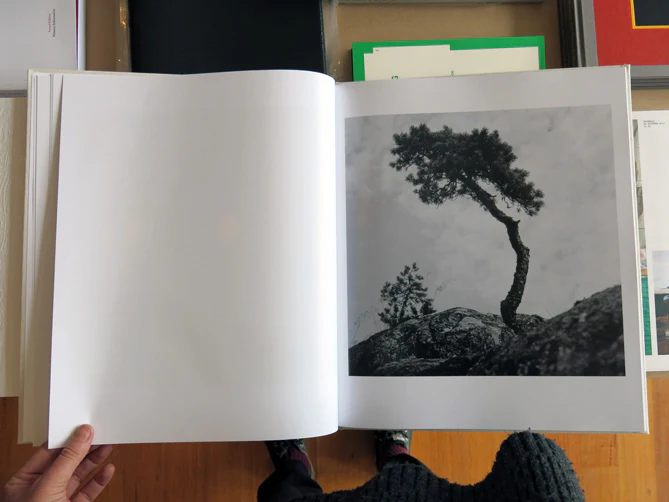 Gunmar Smoliansky - Träd - Image 6