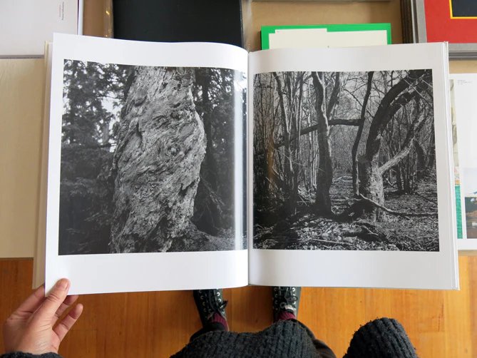 Gunmar Smoliansky - Träd - Image 7