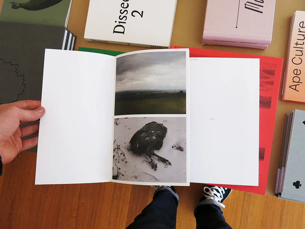 Hanne Van Der Woude - Vivace - Image 3