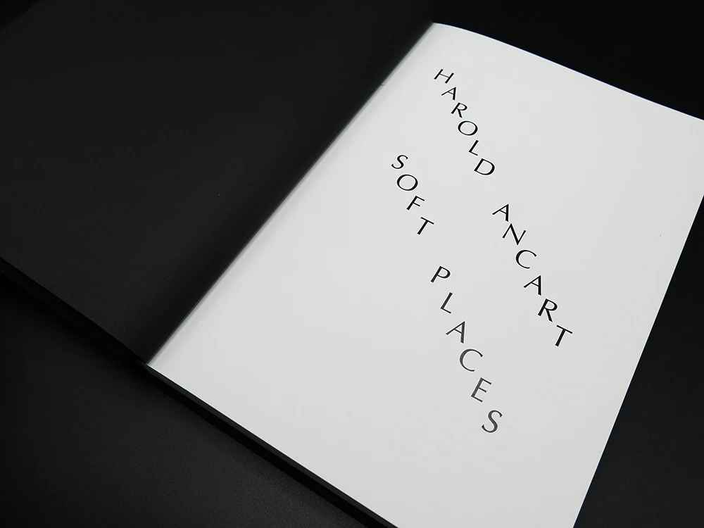 Harold Ancart – Soft Places II (Rare) - Image 3