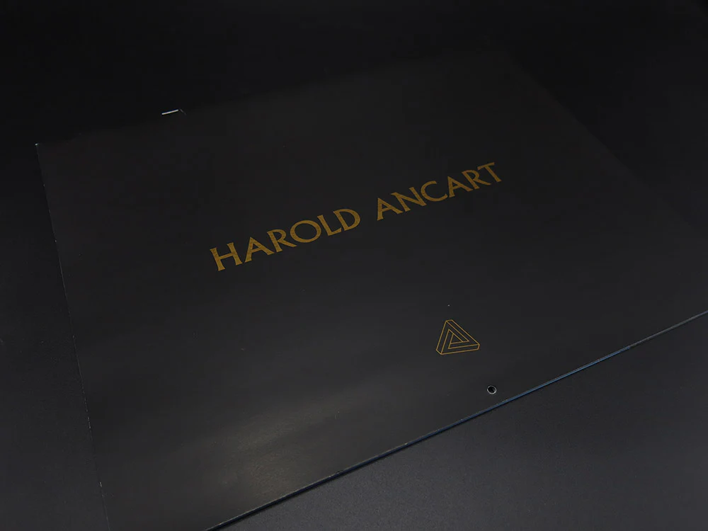 Harold Ancart – Tomorrow (Rare) - Image 8