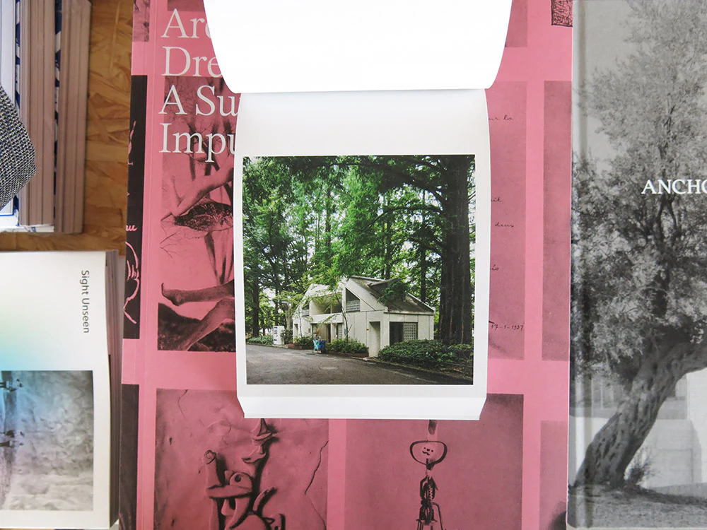 Hidefumi Nakamura – Toilets a Go Go! - Image 6