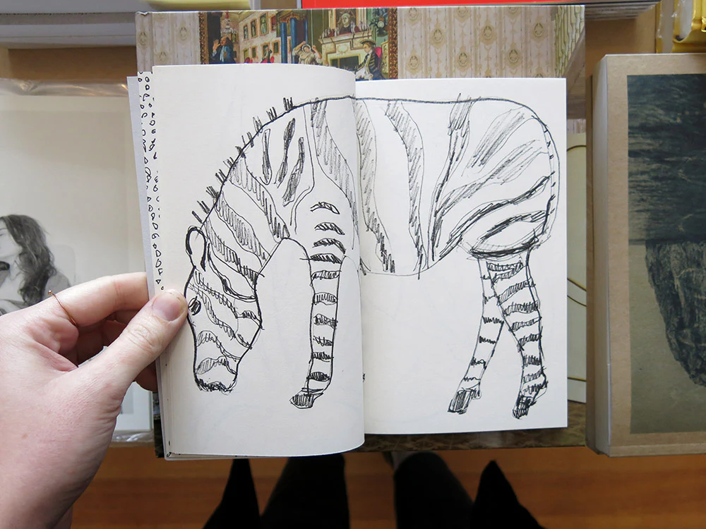 Hugo Guinness – Sketches from a Google Safari - Image 3