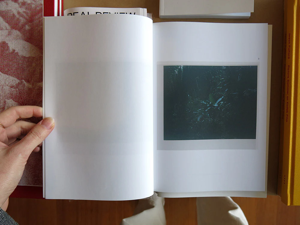 Inga Kerber â ClichĂ© of a Landscape, Jungle - Image 3
