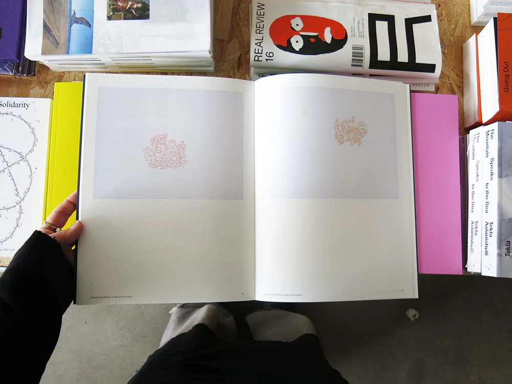 Irene Kopelman – A Matter of Framing. Notes on Representation Vol. 13 - Image 2