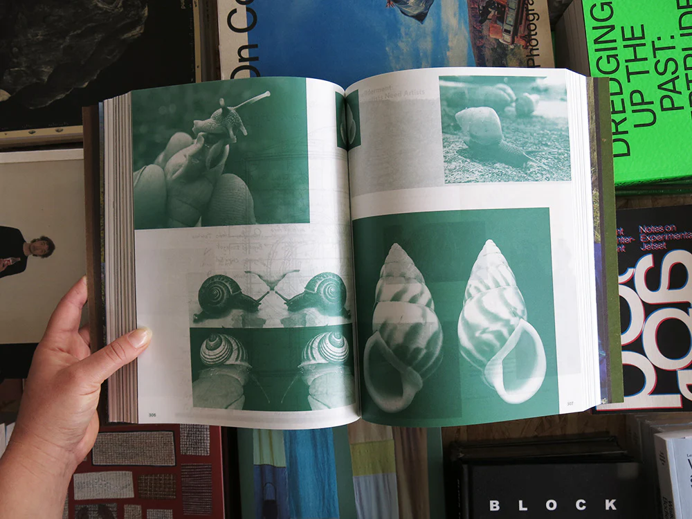 PRE-ORDER: Irene Kopelman – Field to Form - Image 10