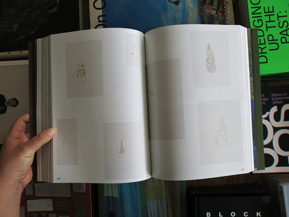 PRE-ORDER: Irene Kopelman – Field to Form - Image 11