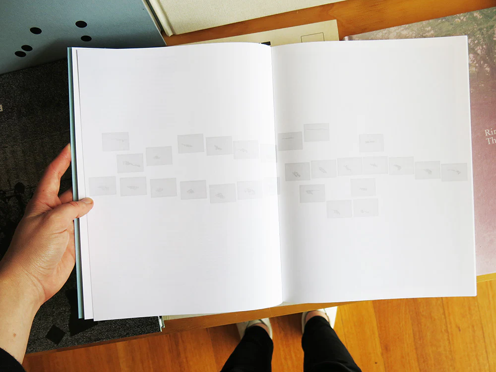 Irene Kopelman - On Glaciers And Avalanches: Notes On Representation Vol. 8 - Image 5