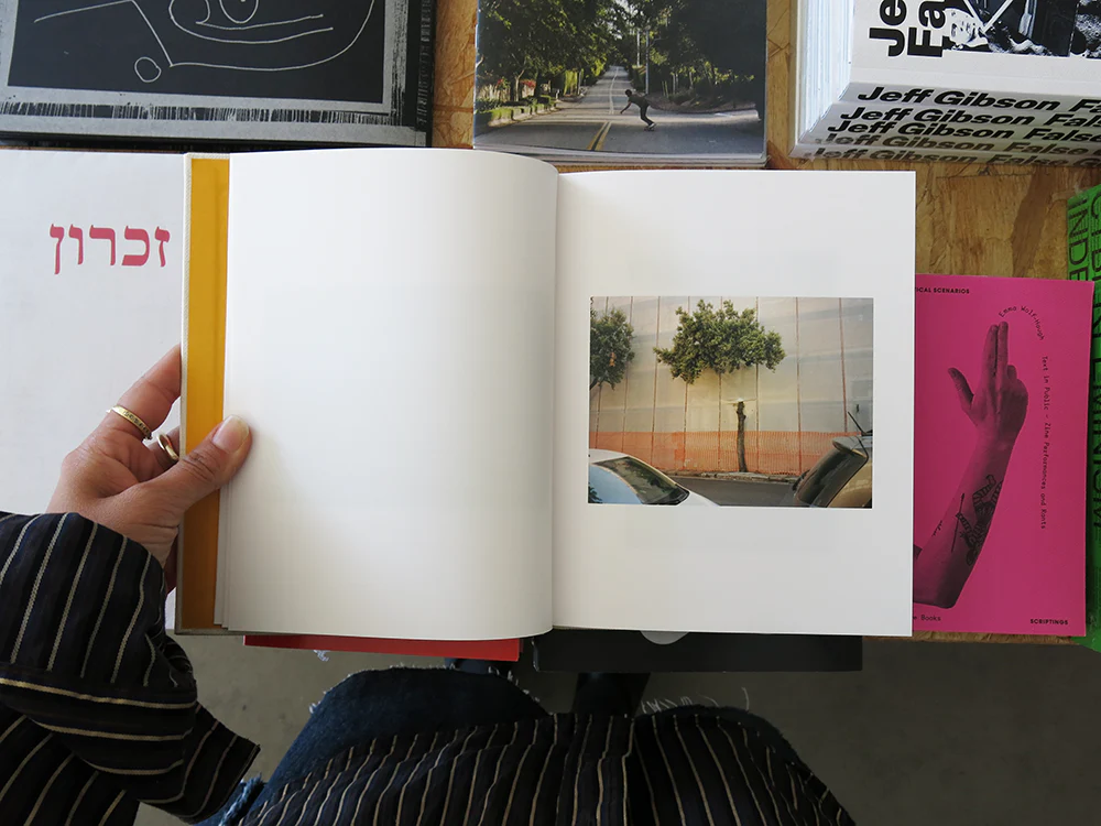 Irina Rozovsky, Mark Steinmetz – Insieme - Image 9
