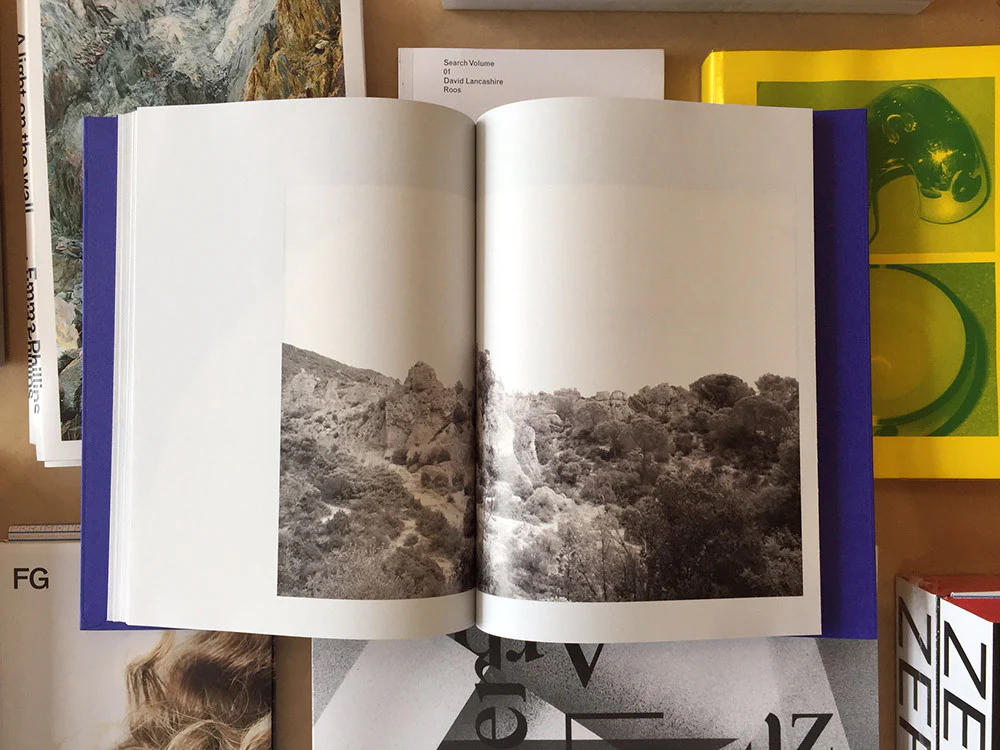 Isabelle Evertse - Anthropoides Paradiseus - Image 2