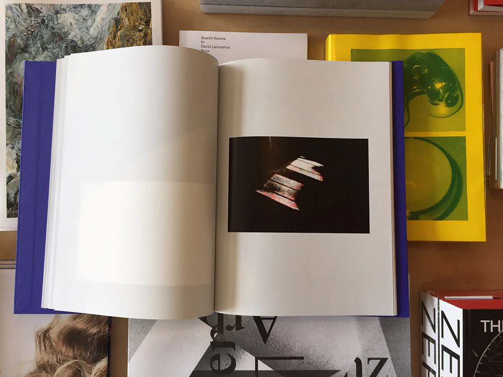 Isabelle Evertse - Anthropoides Paradiseus - Image 4
