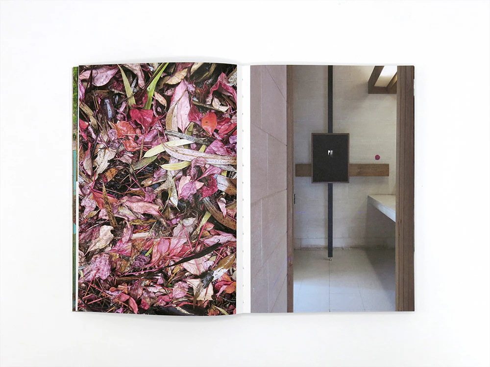 Izabela Pluta – Lumina: The Photic Atlas - Image 3