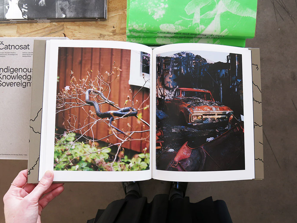 Jake Reinhart – Laurel Mountain Laurel - Image 6