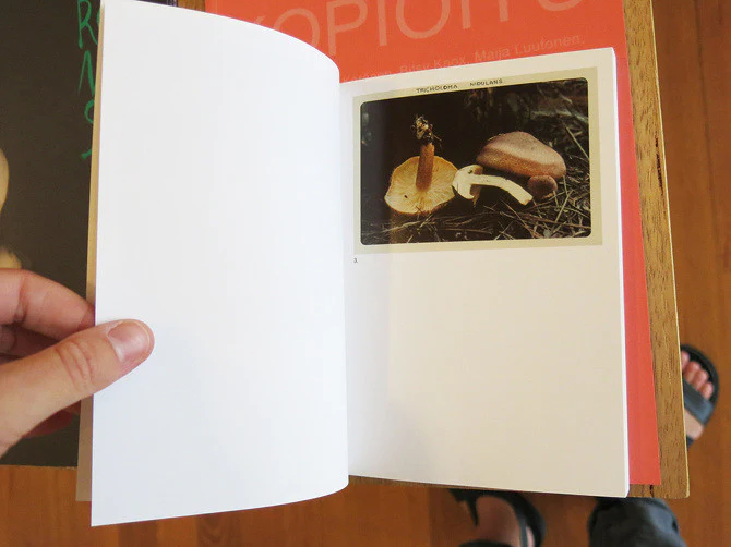 Jason Fulford - The Mushroom Collector - Image 2
