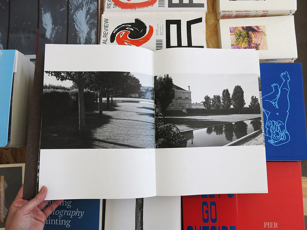 JoĆ£o Gomes da Silva ā The Order of Landscape - Image 4