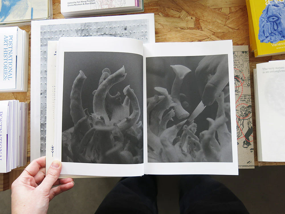 Joselito Verschaeve – As Long as the Sun Lasts - Image 3