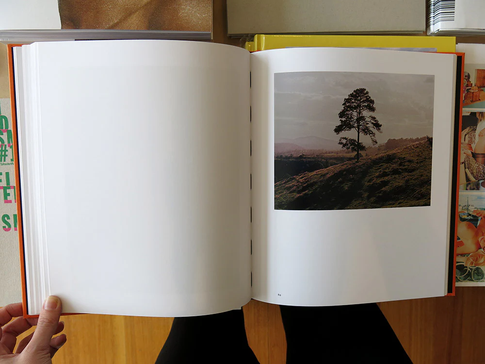 Juan Brenner – Tonatiuh - Image 6
