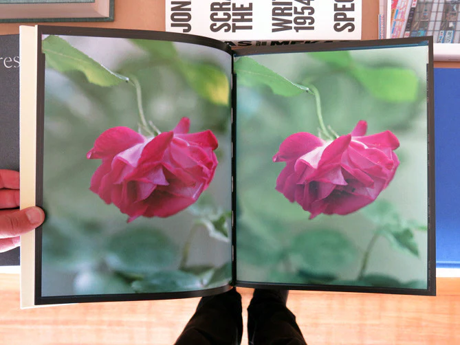 Judith Jockel - You Breathe From A Garden In Your Neck - Image 2