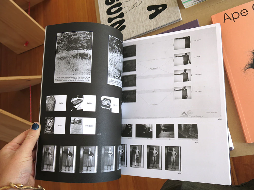 Julião Sarmento - La Chose, Même - Image 2