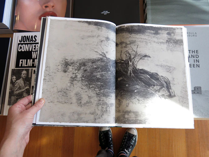 PRE-ORDER: Jungjin Lee – Echo - Image 3