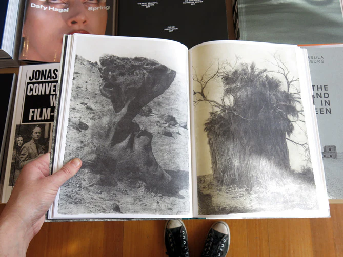 PRE-ORDER: Jungjin Lee – Echo - Image 4