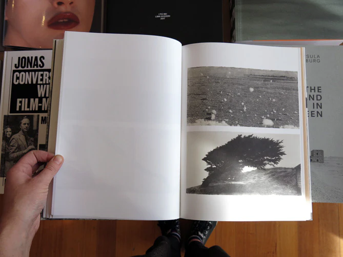 PRE-ORDER: Jungjin Lee – Echo - Image 5