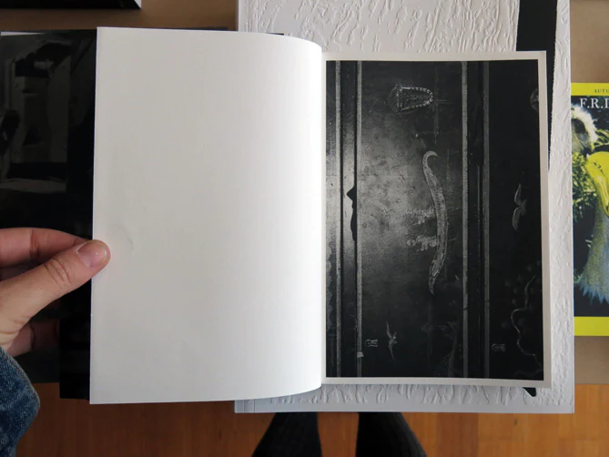 Justine Kurland and John Yau - Black Threads from Meng Chiao - Image 2