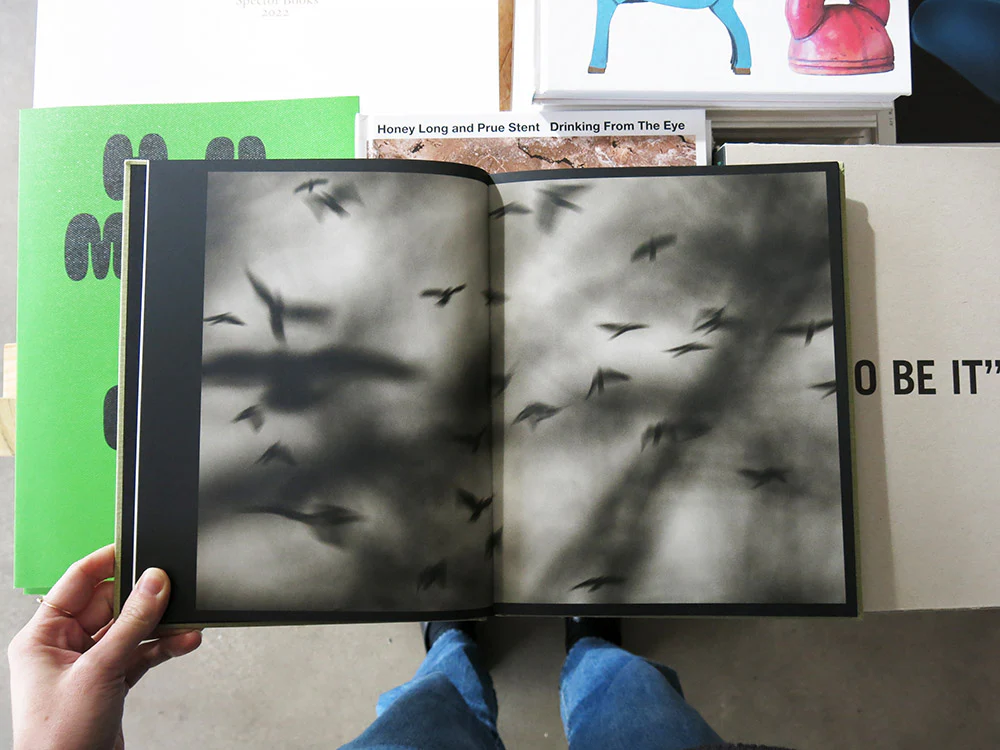 PRE-ORDER: Kyunghee Lee – On Birds (Des oiseaux) - Image 2